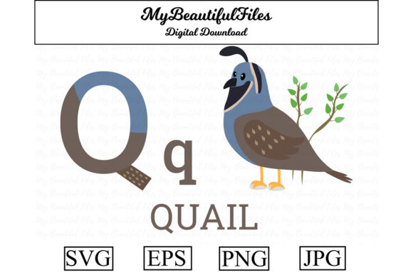 Alphabet ABC Animal – Quail Graphics & Illustrations