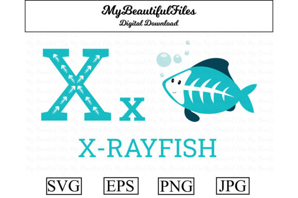 Alphabet ABC Animal – Xrayfish