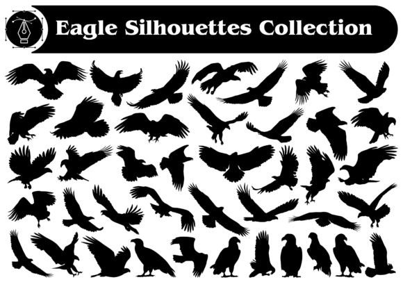 Animal Bird Eagle Silhouettes Bundle: Graphics & Illustrations