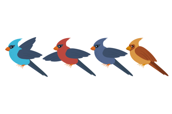 Animal Bird Graphic Collection