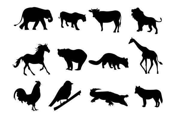 Animal Silhouette for Zoo Pattern Design Graphics & Illustrations