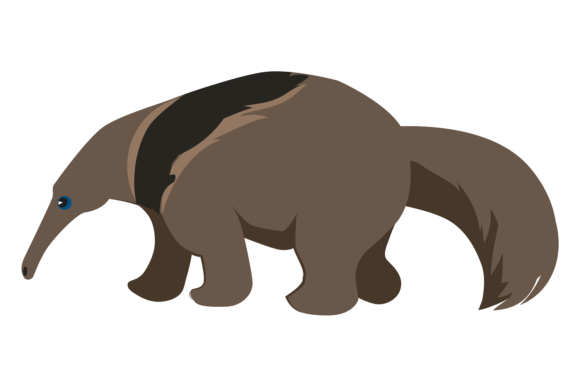 Anteater Icon: Nature Illustration & Graphics