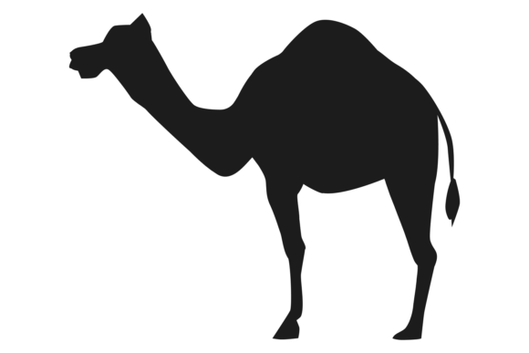Camel Silhouette Graphics: Desert Illustrations for Real Publishing