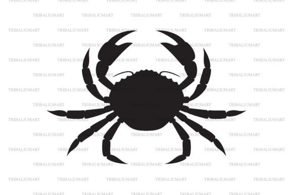 Crab Animal Graphics & Illustrations