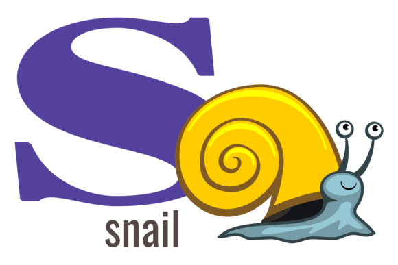 S Word. Snail Animal Graphics & Illustrations