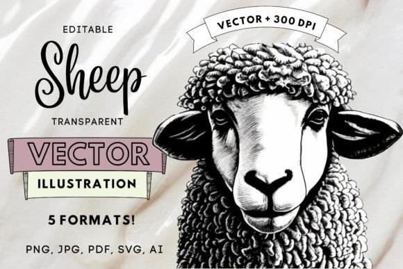 Sheep Animal Pencil Drawing Illustration: Graphics & Illustrations for Warm, Handmade Branding