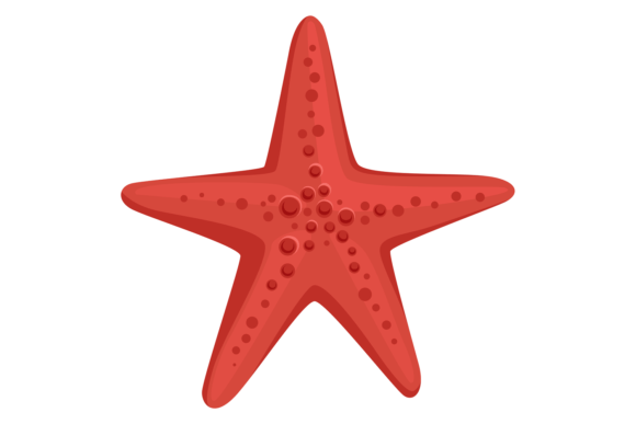 Starfish Icon Graphics: Cartoon Red Animal Illustrations